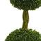 5ft. Double Ball Boxwood Topiary Tree in Slate Planter